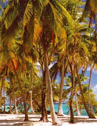Guadeloupe