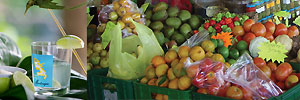 3 Inselkombination Martinique + Guadeloupe + St. Martin