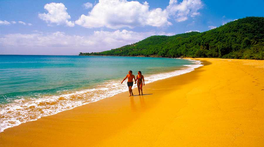 Guadeloupe + Dominica + Martinique
