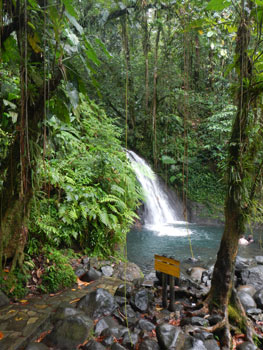 Guadeloupe & Dominica
