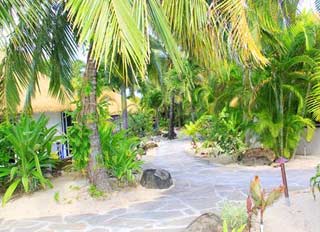 Beachfront Villen