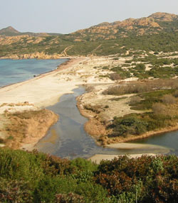 Korsika Strand Mietwagen