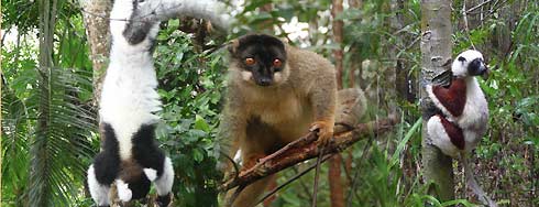 Madagaskar Rundreise