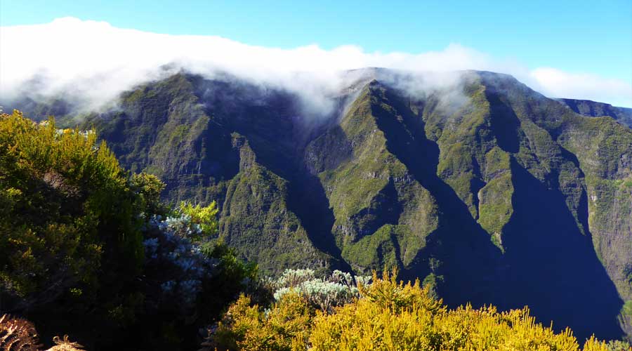 La Réunion + Mauritius
