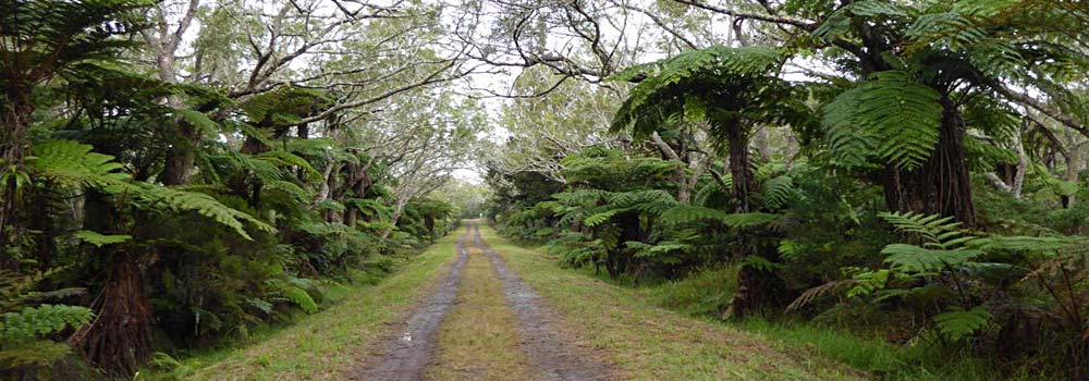 La Reunion Wanderreise