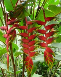 Mayotte Reise