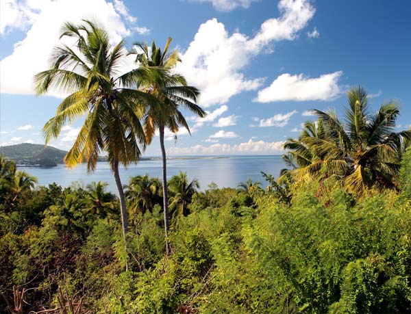 Insel-Kombi-Reise La Reunion