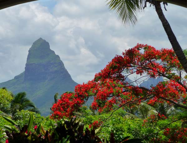 La Réunion und Mauritius
