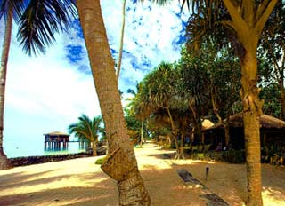 Hotel Coconut's Beach Club Upolu Samoa