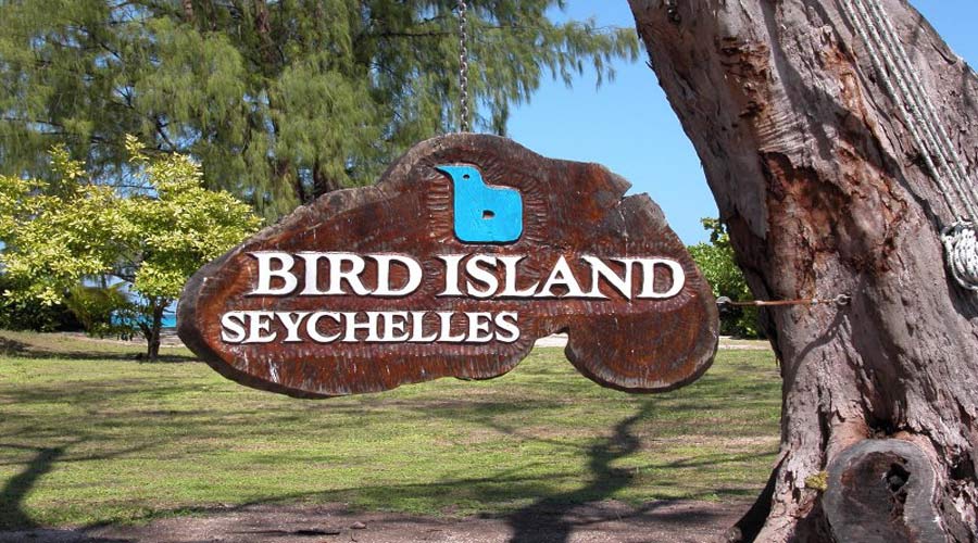 Bird Island