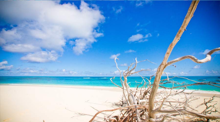 Denis Island