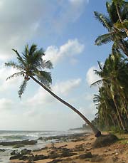 Sri Lanka Rundreise