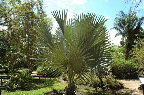 La Réunion